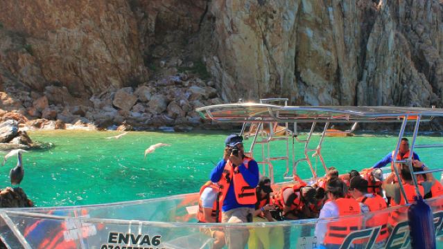 Los Cabos: Guided Transparent Boat Tour