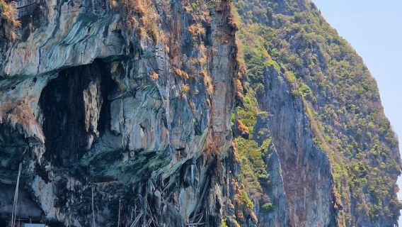 Islas Phi Phi y Bahía Maya: Paseo en lancha rápida al atardecer + Snorkel con plancton