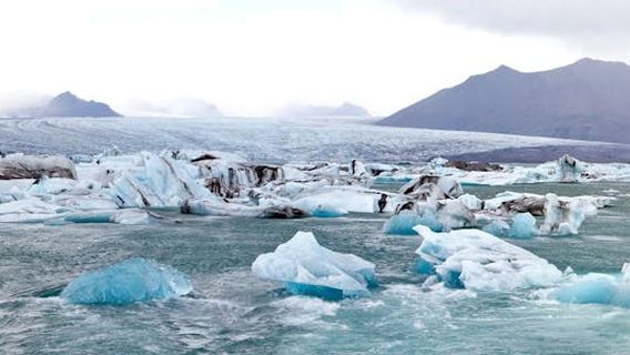 ReykjavikExperiences