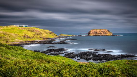 澳洲|墨爾本月光動物園+火車企鵝一日遊【多種團型可選】