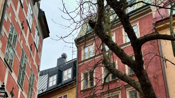 พระราชวังเมืองเก่าสตอกโฮล์ม + พิพิธภัณฑ์เรืออับปาง ประเทศสวีเดน|ทัวร์วันเดียว/ทัวร์หลายวัน รถเช่าเหมา หนึ่งวันพร้อมบริการภาษาจีนและภาษาอังกฤษ