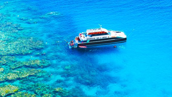 케언즈 그레이트 배리어 리프 + 무어 아우터 배리어 리프 일일 투어, 퀸즐랜드, 호주