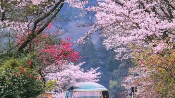 小郡市日遊
