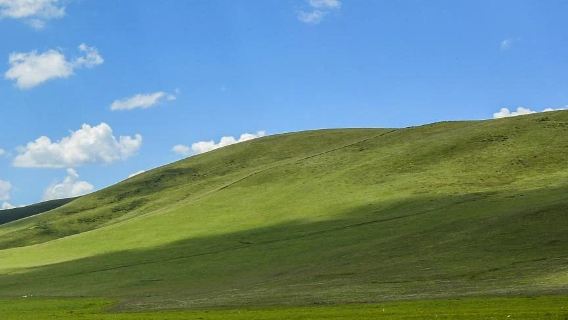 卓爾山+祁連大草原+崗什卡雪峰一日遊