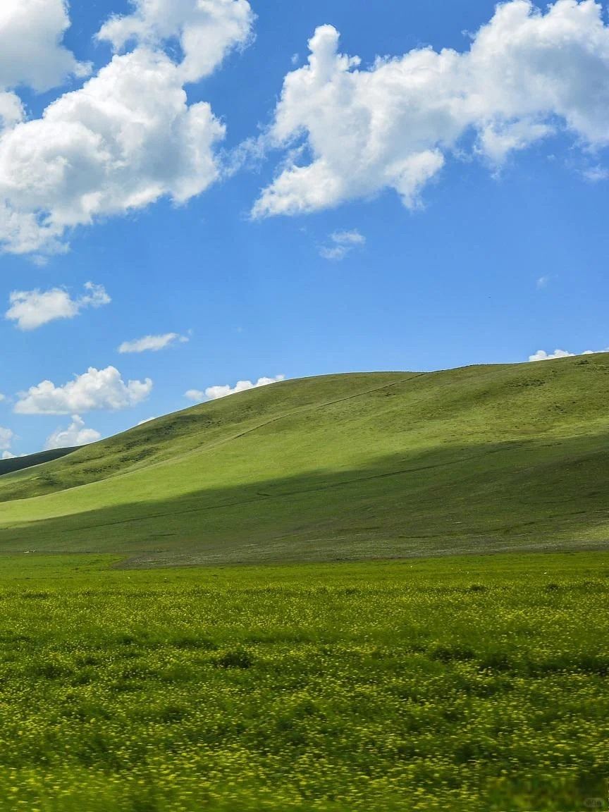 卓爾山+祁連大草原+崗什卡雪峰一日遊