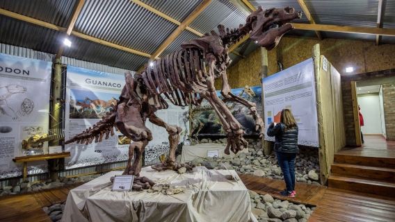 Punta Walichu: Guided Tour + Roundtrip Transfer