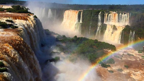 Iguaçu National Park + Iguazu Falls + Bird Park Day Tour with Hotel Transfer