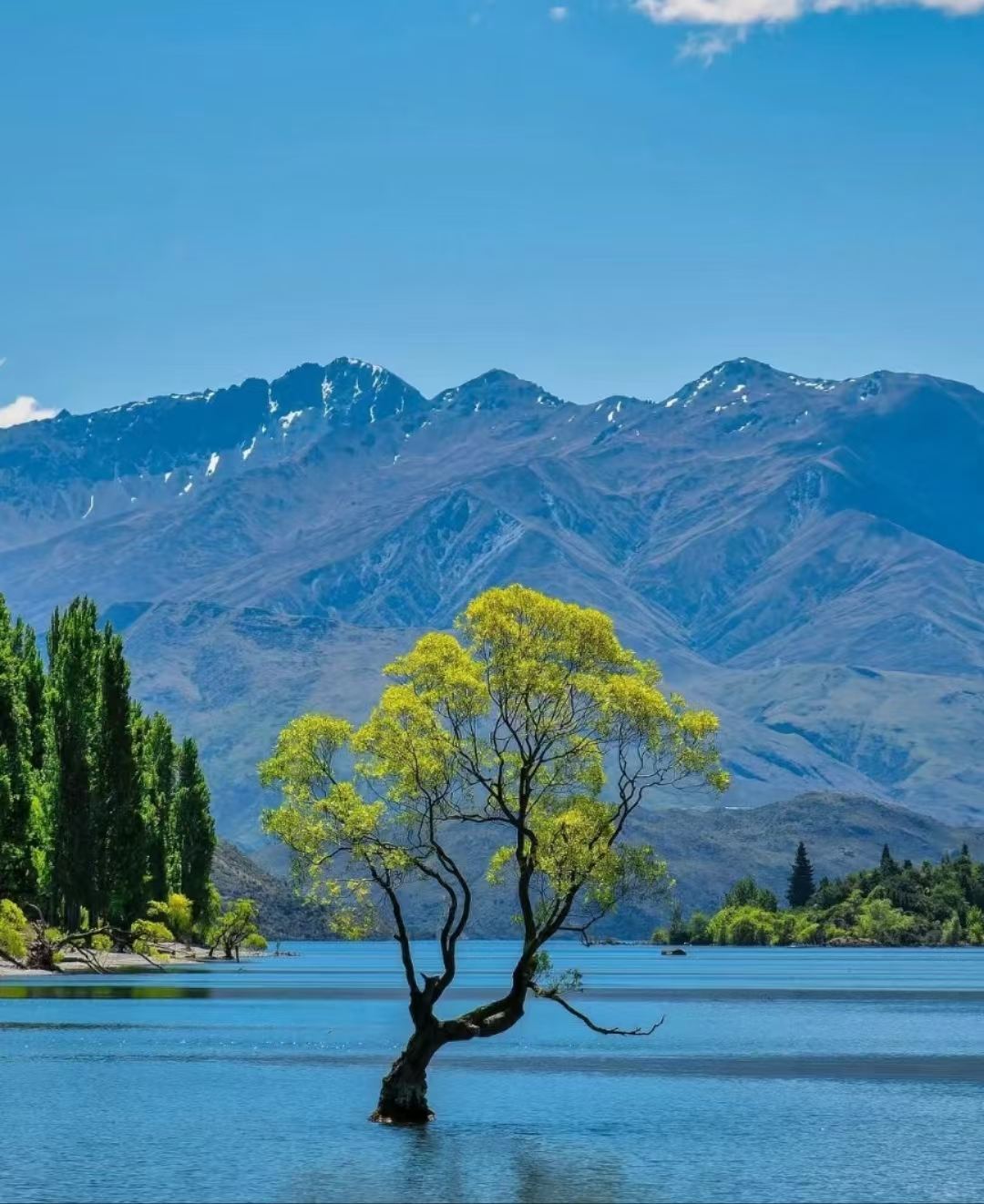 紐西蘭皇后鎮+瓦納卡+箭鎮+克倫威爾一日遊[行程可調/中文]