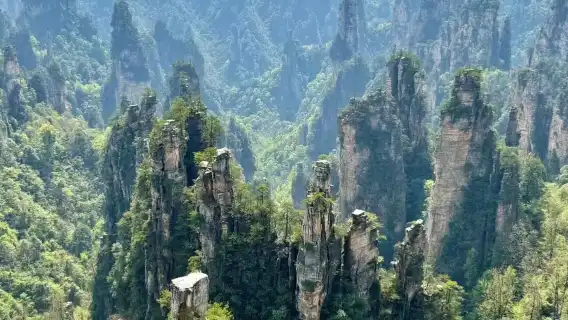 張家界國家森林公園-寶峰湖-千古情日遊