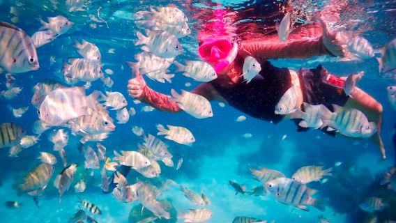 パタヤ・サメット島シュノーケリングワンデーツアー【シュノーケリング用具と水中写真撮影付き】