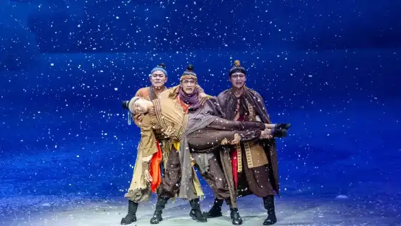 《駝鈴傳奇》秀私享團半日遊（每單專車接駁+表演票券買2送1）