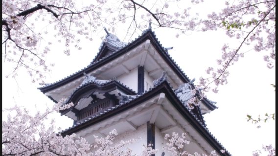 日本全境/專業中文導遊/地陪/翻譯/景區導覽