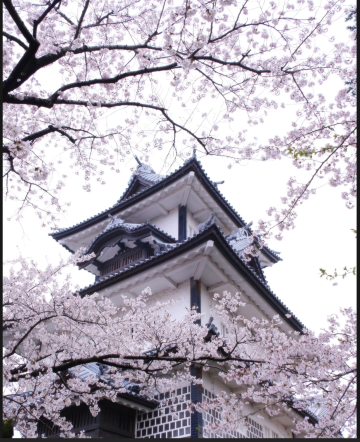 日本全境/專業中文導遊/地陪/翻譯/景區講解