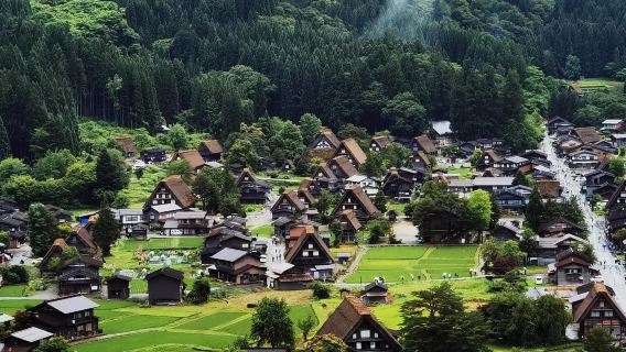 高山村日遊