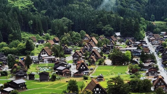 高山村日遊