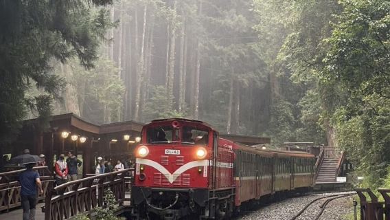 Alishan & Fenchihu Day Tour (Taichung City Hotel Pickup)