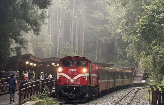 阿里山森林遊樂區+奮起湖一日遊【台中市區飯店出發】