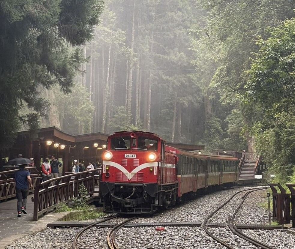 Alishan & Fenchihu Day Tour  (Taichung City Hotel Pickup)