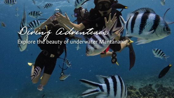 Premium Mantanani Island Leisure Diving + Mangrove & Firefly River Cruise | Kota Kinabalu
