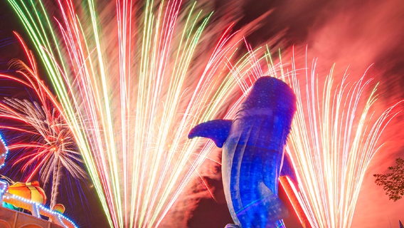 tour di un giorno al Chimelong Ocean Kingdom di Zhuhai|Biglietti rapidi/Spettacolo pirotecnico/Possibilità di acquistare "The Chimelong Show"