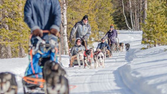 Levi: Husky Adventure Self-Drive Safari 15km