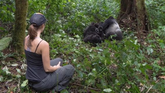 Volcanoes National Park: One-Day Bisoke Hiking Adventure