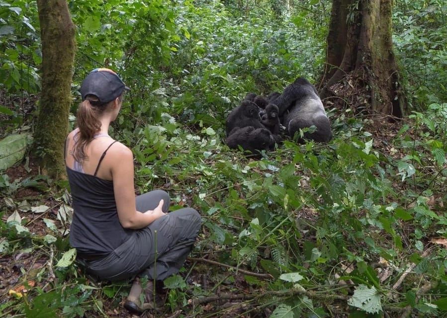 Parque Nacional de los Volcanes: Aventura de senderismo de un día en Bisoke