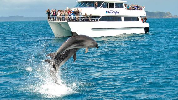 Auckland : excursion d'une journée dans la baie des Îles avec croisière avec les dauphins