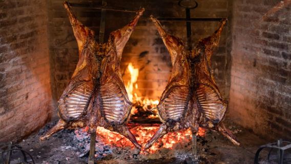 25 NÔNG TRẠI DE MAYO