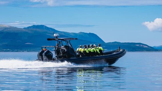 Sortland: Trollfjord RIB Boat Tour