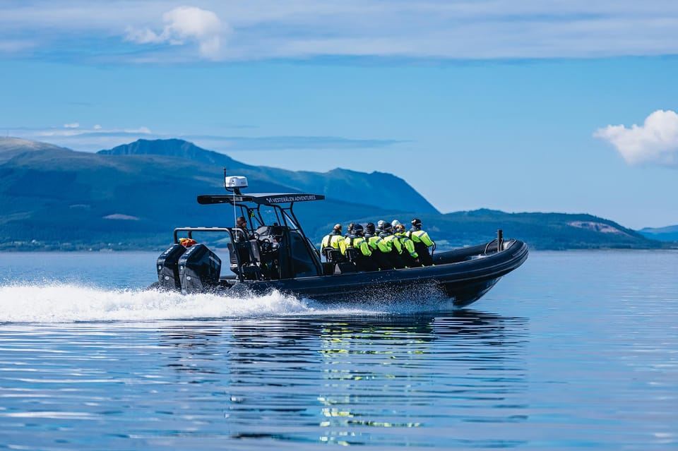 Sortland: Trollfjord RIB Boat Tour