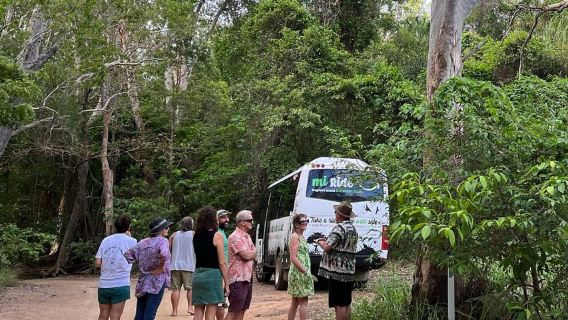Magnetic Island: West Coast Eco Adventure Bus Tour