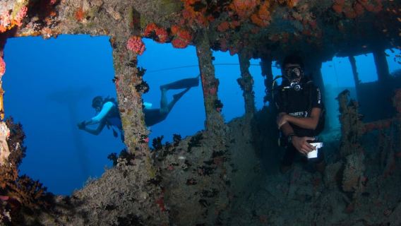 Maldives: Victory Shipwreck Scuba Dive