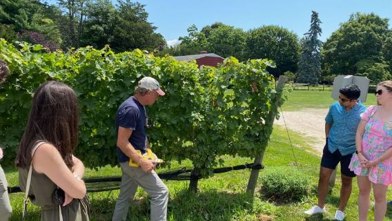NYC: Tur Mencicipi Anggur dengan Pemandu Sommelier Long Island