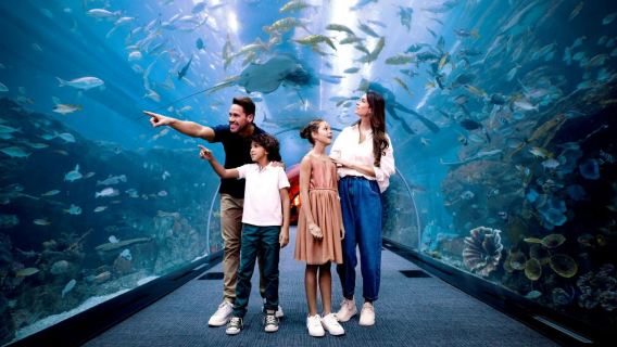 DubaiTagestouren