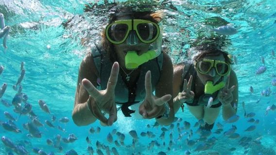 Gran Canaria: Catamaran Excursion with Drinks, Lunch, and Snorkeling