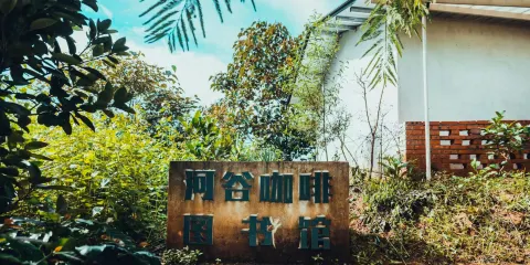 普洱太陽河森林公園+故山·野鴨塘河谷咖啡莊園一日遊