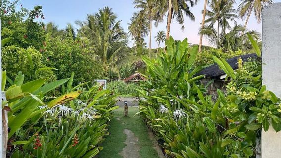 Whole Day North of Siargao Surfing Lessons