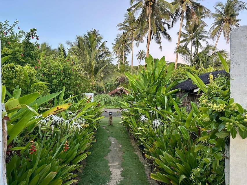 Lezioni di surf di un'intera giornata a nord di Siargao