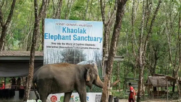 小團遊覽考拉克大象保護區