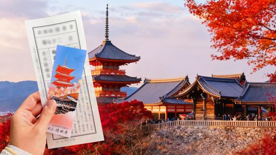 【紅葉シーズン】日本京都+奈良ワンデーツアー【9人少人数団体・ホテル送迎可能】