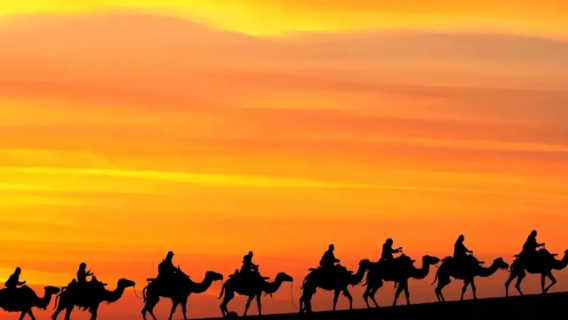 甘肅全境|專業英語導遊|商務翻譯服務|展會翻譯服務|（法語/義大利語/俄語）|其他語言（請諮詢顧客服務中心）