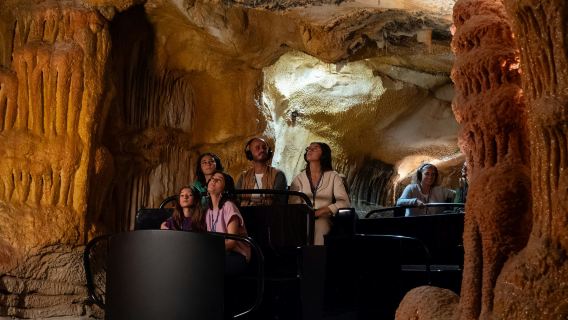 Marseille: Cosquer Cave Entry Ticket + City Audio Tour