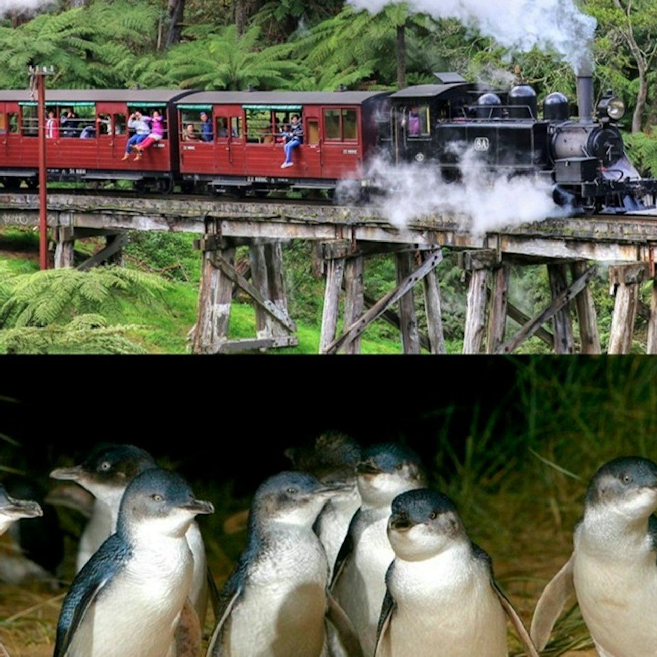 Puffing Billy & Phillip Island Penguin Parade: Bus & Train Tour from Melbourne