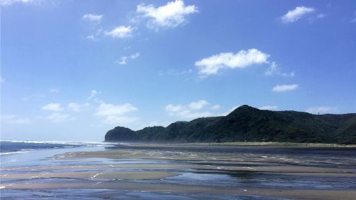 奧克蘭包車一日遊:伊甸山+一樹山+鳥島+德文港+使命灣 奧克蘭包車一日遊:伊甸山+一樹山+鳥島+德文港+使命灣