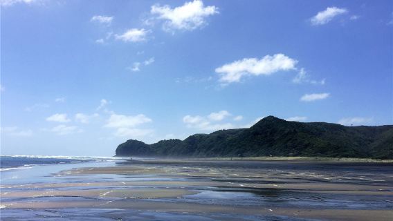 奧克蘭周邊私人訂製中文包車一日遊【景點自選--詳詢客服】