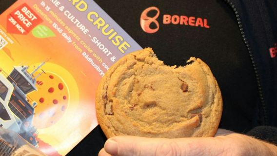 Oslo: crucero por el fiordo + audioguía