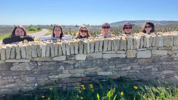 Dijon/Beaune: Full day Ebike Burgundy tour, tastings & lunch