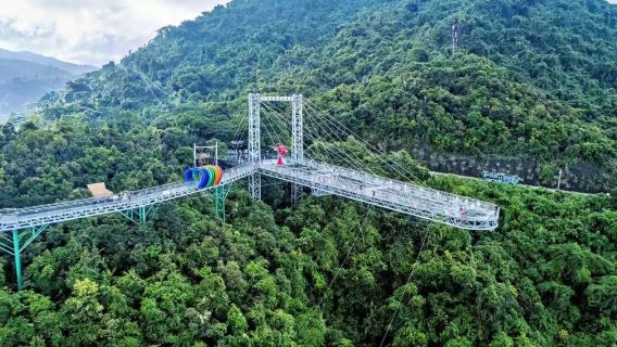 In-depth Yanoda Tropical Rainforest Day Tour