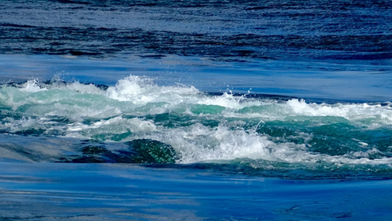 大阪出發淡路島|包車10小時一日遊、中文司機、上門接駁